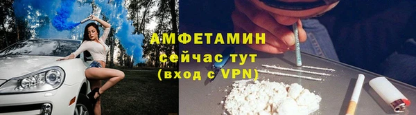 сатива Абаза