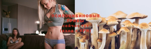 apvp Абинск