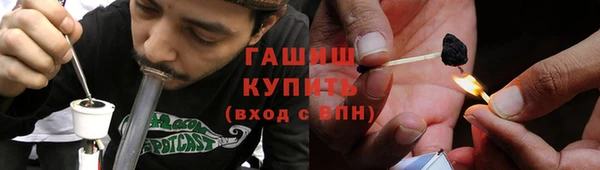 сатива Абаза